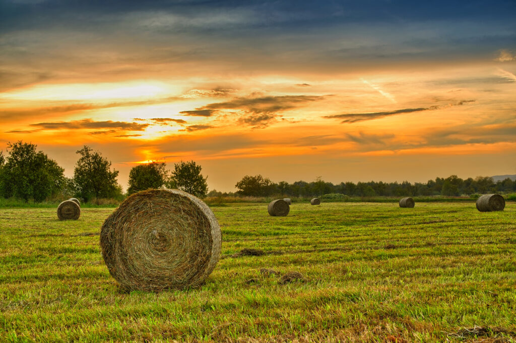 Golden,Sunset,Over,Farm,Field,With,Hay,Bales